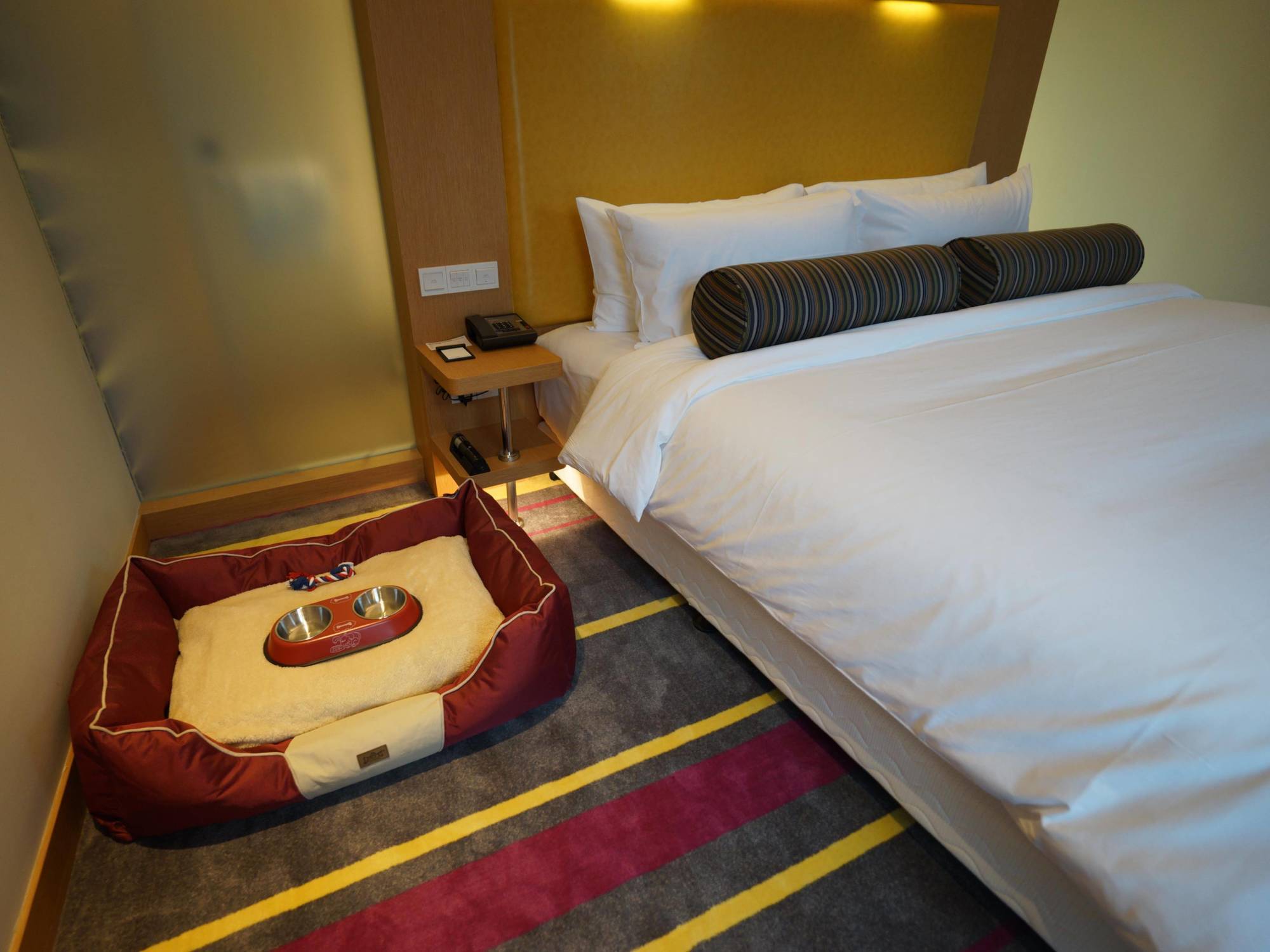 Aloft Dynamic Town Otel Shenzhen Dış mekan fotoğraf